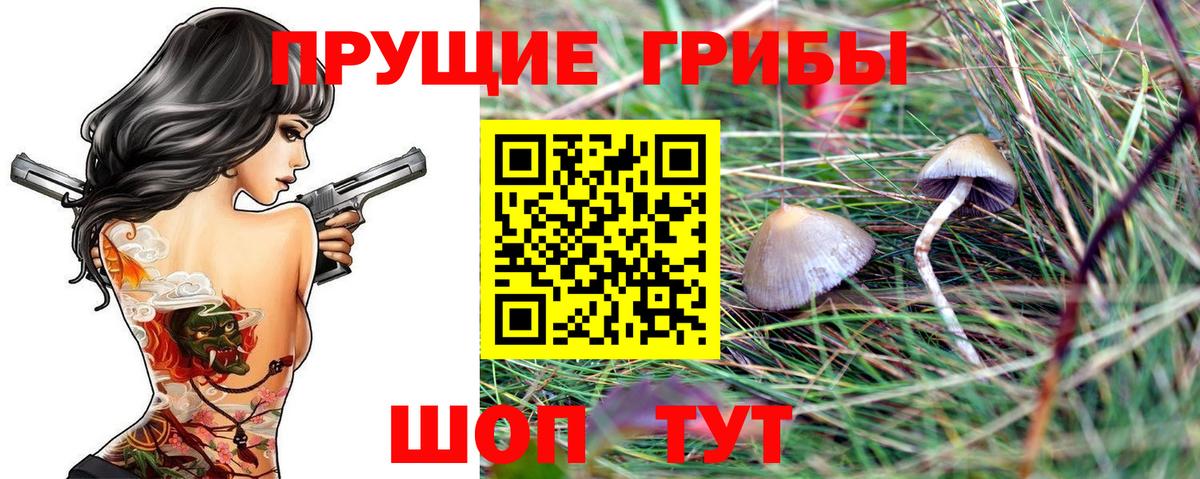 Псилоцибиновые грибы Magic Shrooms  Вход с VPN  Северск 