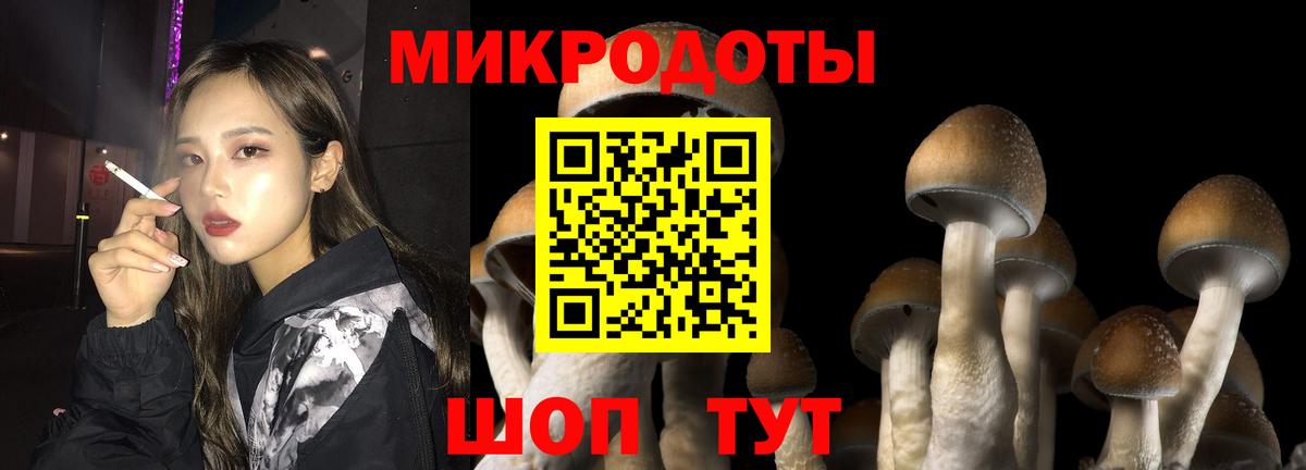 Галлюциногенные грибы GOLDEN TEACHER Северск
